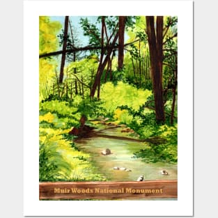 Muir Woods Watercolor Posters and Art